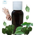 unfinished perfume flavor Essential oil Pomelo leaf